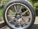 Rays Volk
