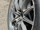 Rays Volk
