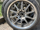Rays Volk