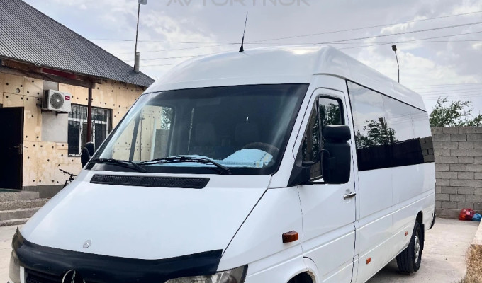 Mercedes-Benz Sprinter 2005 года