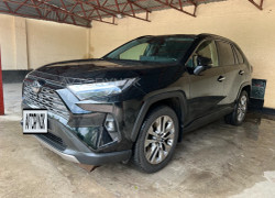 Toyota RAV4 2024 года
