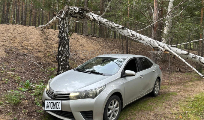 Toyota Corolla 2013 года