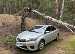 Toyota Corolla 2013 года