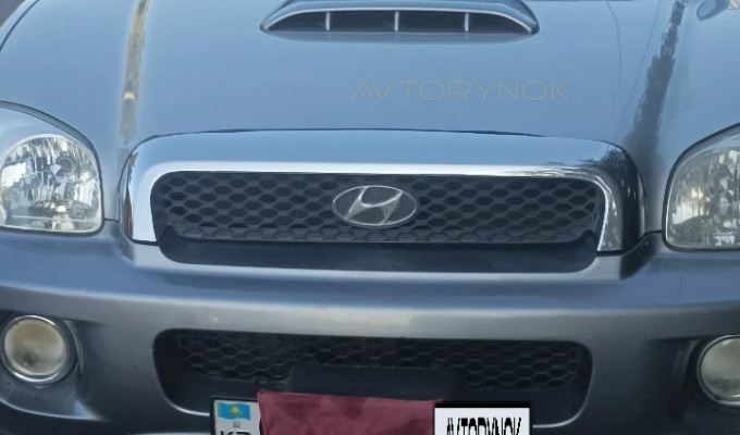 Hyundai Santa Fe 2002 года