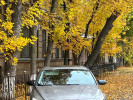 Hyundai Elantra 2023 года