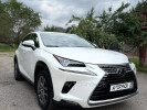 Lexus NX 2019 года