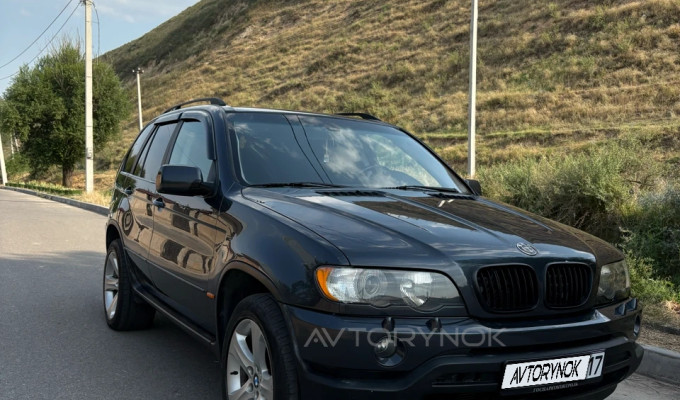 BMW X5 2003 года