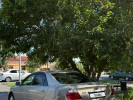 Toyota Camry 2003 года