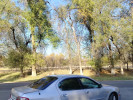 Nissan Maxima 2001 года