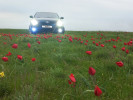 Toyota Camry 2006 года