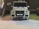 Mercedes-Benz G-Класс 2007 года