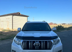 Toyota Land Cruiser Prado 2019 года
