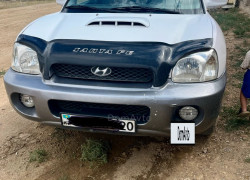 Hyundai Santa Fe 2002 года