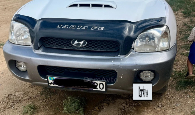 Hyundai Santa Fe 2002 года