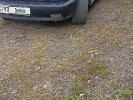 BMW 5 серия 1994 года