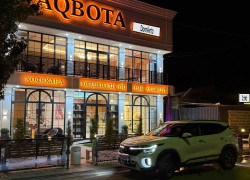Kia Seltos 2024 года