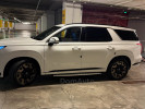 Hyundai Palisade 2024 года