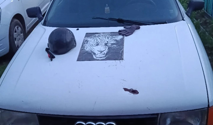 Audi 80 1989 года