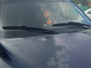 SsangYong Musso 1996 года
