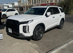Hyundai Palisade 2024 года