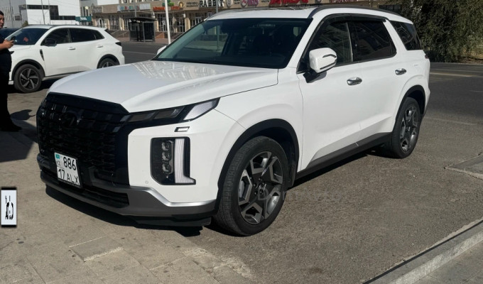 Hyundai Palisade 2024 года