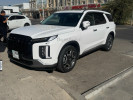 Hyundai Palisade 2024 года