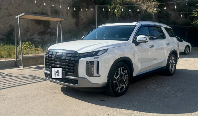 Hyundai Palisade 2024 года