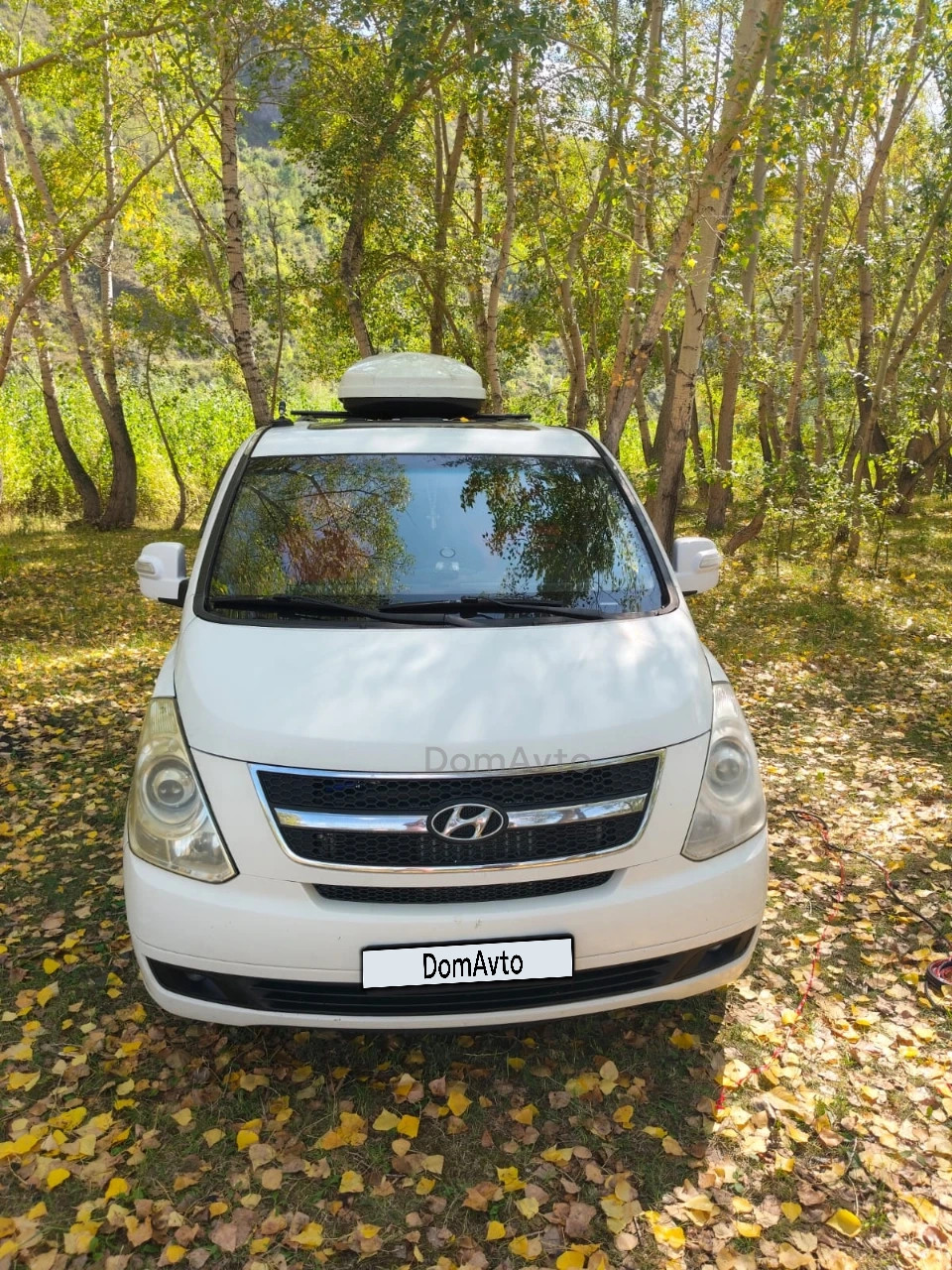Hyundai Starex, 2009