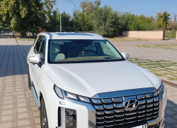 Hyundai Palisade 2025 года