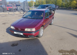 Nissan Primera 1994 года