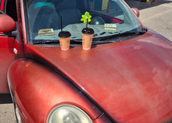 Volkswagen Beetle 1999 года