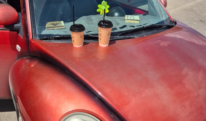 Volkswagen Beetle 1999 года