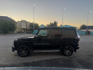 Mercedes-Benz G-Класс 2003 года