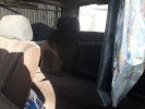 Toyota Hiace 1995 года