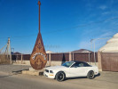 Ford Mustang 2007 года