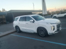 Hyundai Palisade 2023 года
