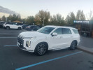 Hyundai Palisade 2023 года