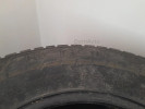 Nokian