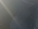 Hyundai Accent 2012 года