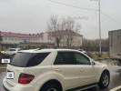 Mercedes-Benz ML-Класс 2007 года