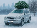 Mercedes-Benz ML-Класс 1999 года