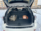 Lexus RX 2009 года