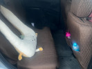 Mitsubishi Outlander 2008 года