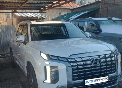 Hyundai Palisade 2023 года