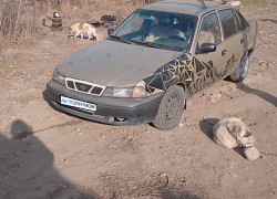 Daewoo Nexia 2007 года