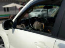 Toyota Land Cruiser Prado 2007 года