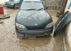 Toyota Windom 1995 года