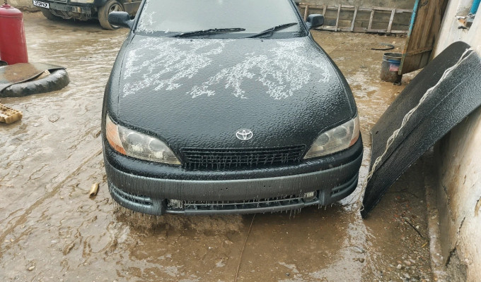 Toyota Windom 1995 года