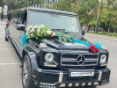Mercedes-Benz G-Класс 1999 года