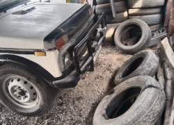 ВАЗ (Lada) 2121 (4x4) 1995 года